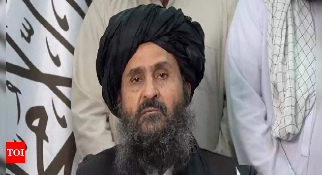 el-viceprimer-ministro-taliban-baradar-se-reune-con-el-director-del-pnud-en-doha-y-busca-ayuda